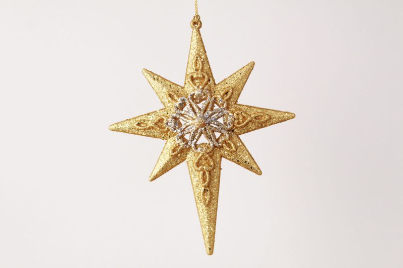 North Star/Star Ornament