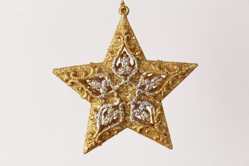 North Star/Star Ornament