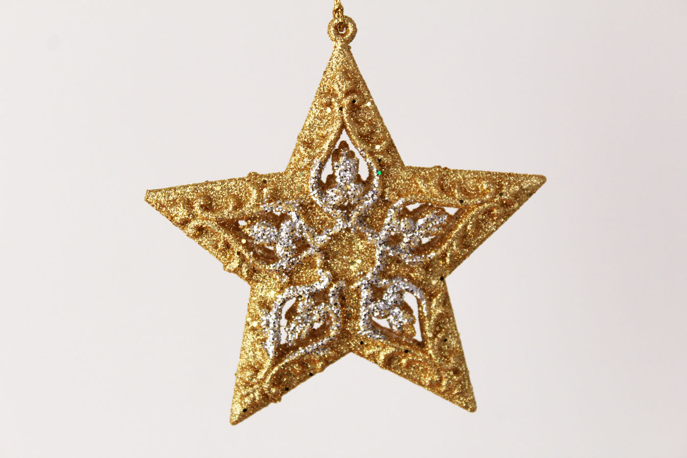 North Star/Star Ornament