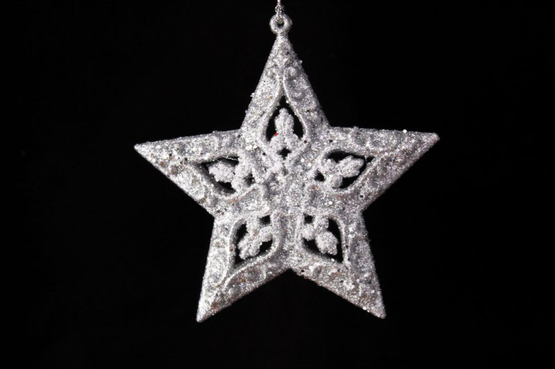 North Star/Star Ornament