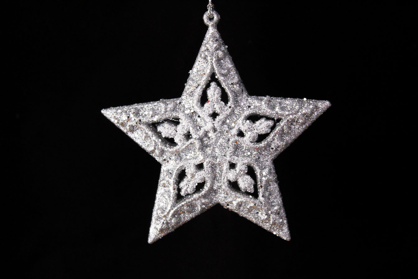 North Star/Star Ornament