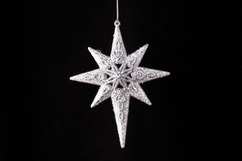 North Star/Star Ornament
