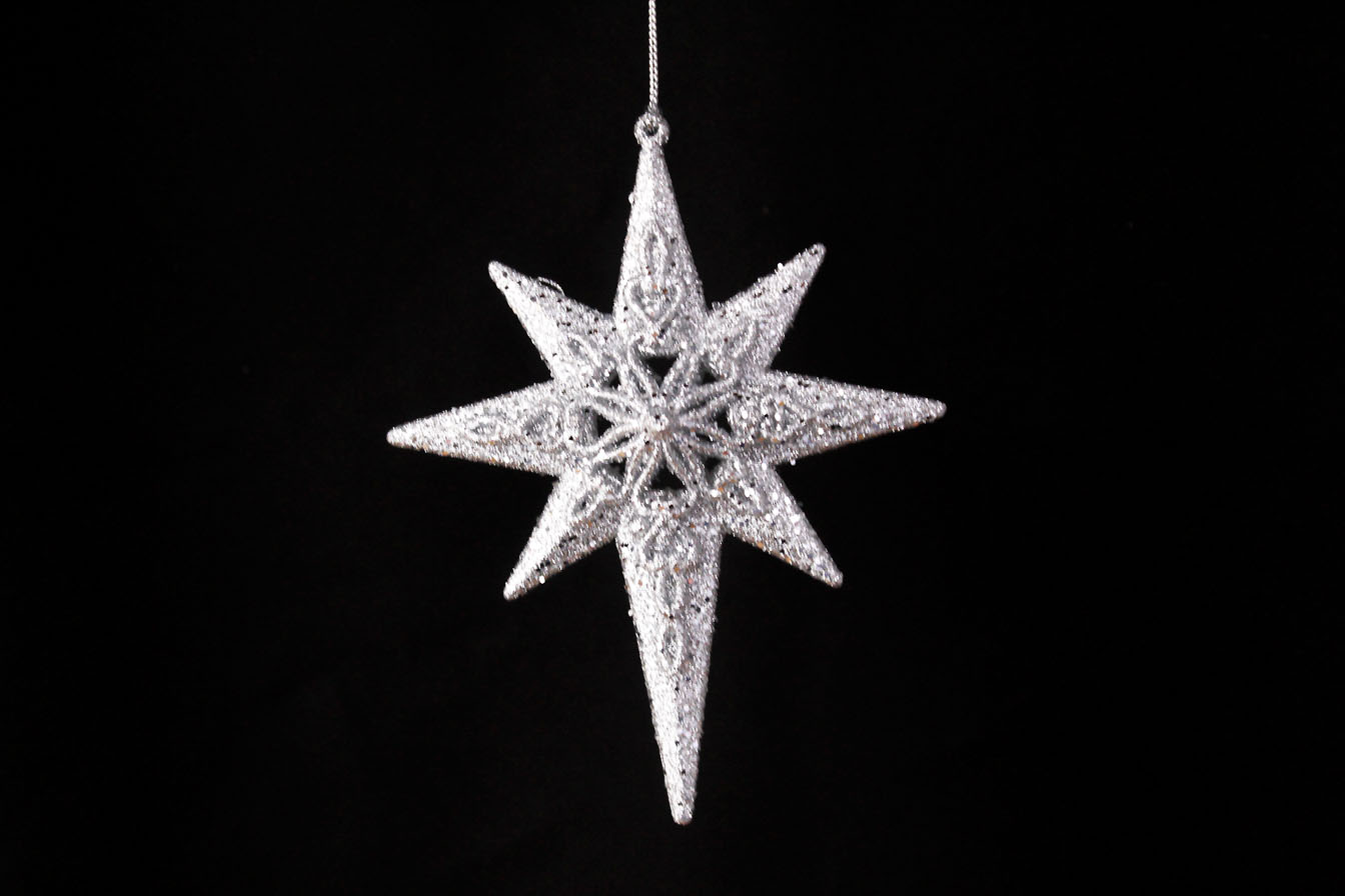 North Star/Star Ornament
