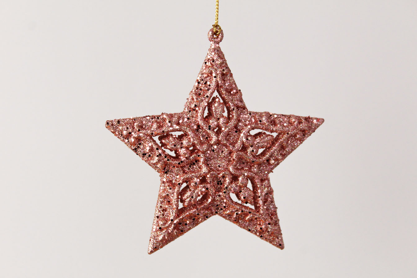 North Star/Star Ornament