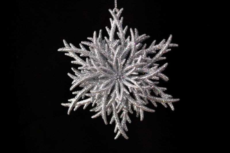 Snowflake Ornament