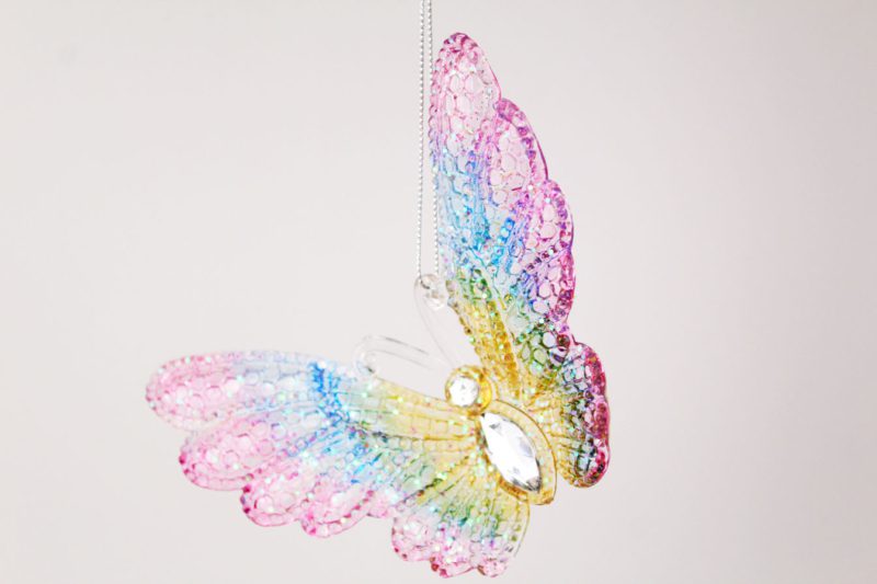 Dragonfly And Butterfly Ornament