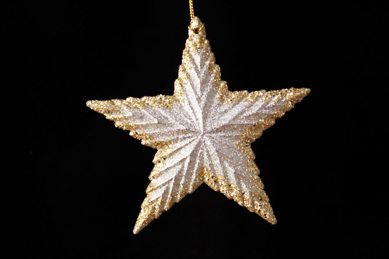 Star/North Star Ornament