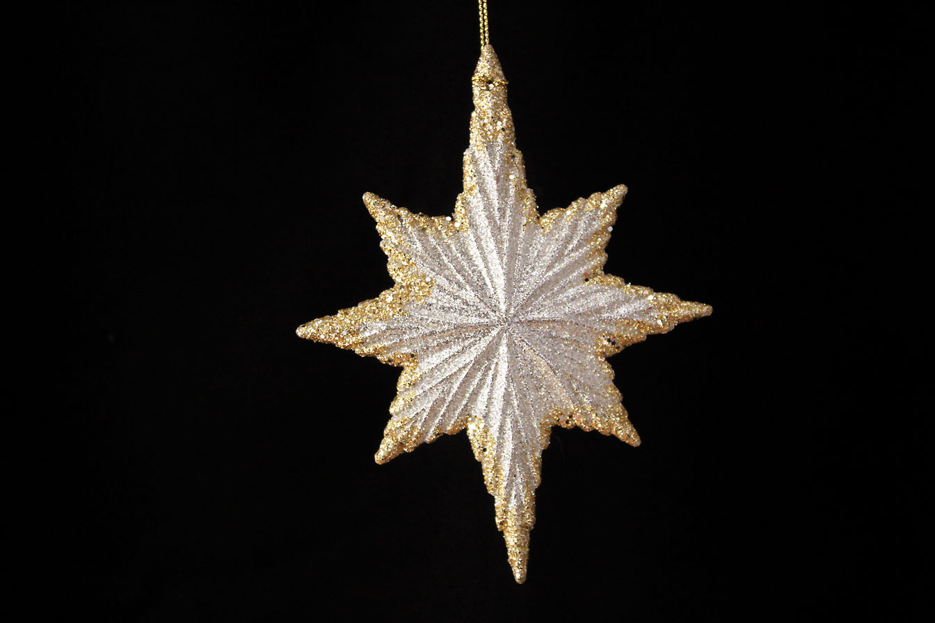 Star/North Star Ornament