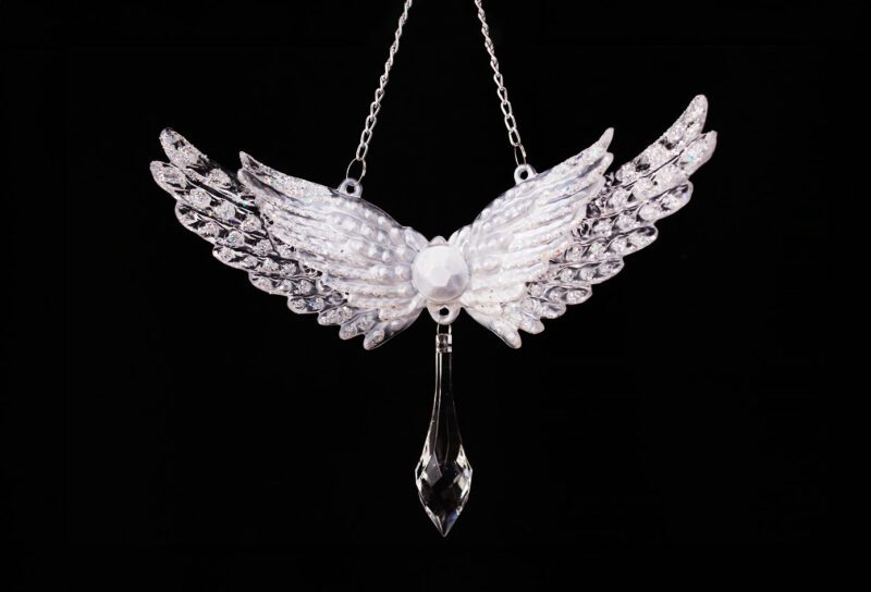 Angel Wings And Pendant Ornament