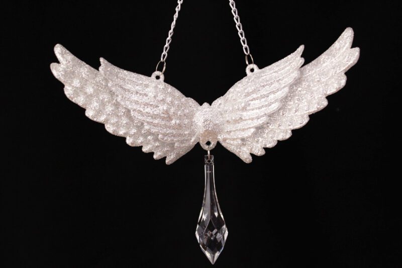 Angel Wings And Pendant Ornament