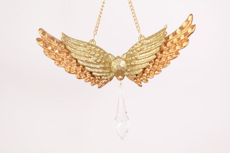 Angel Wings And Pendant Ornament