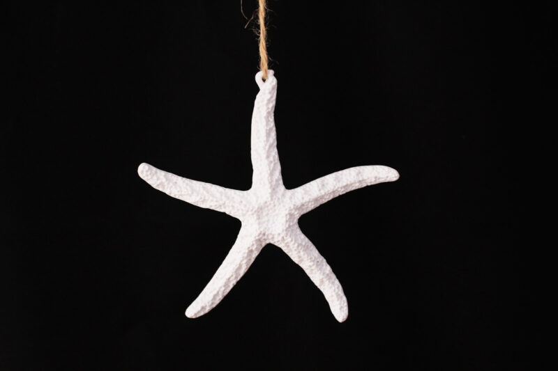 Starfish Ornament