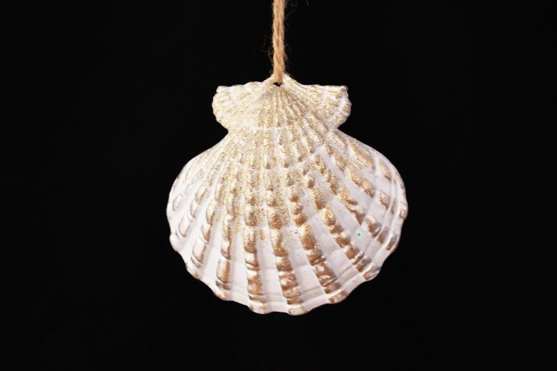 Shell Ornament