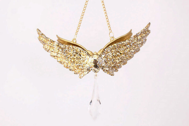 Angel Wings With Pendant